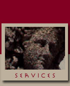 Services Zeus NewMedia Offers