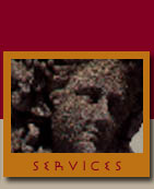 Services Zeus NewMedia Offers