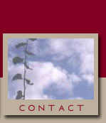 Contact Zeus NewMedia