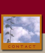 Contact Zeus NewMedia